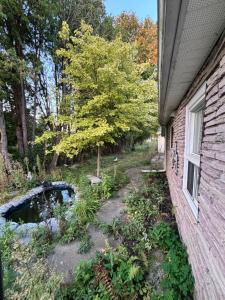 a garden next to a brick house with a window at Entire bungalow, full privacy, free parking in Oshawa