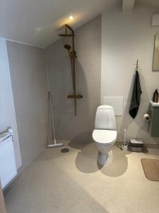 GistrupにあるGistrup Big and Comfyのバスルーム(トイレ付)が備わります。