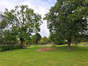 En have udenfor Wohnung in Hahnenklee Goslar