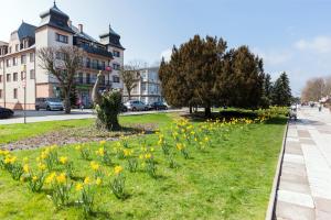a park with yellow flowers in the grass at Apartamenty przy Promenadzie by Renters in Świnoujście