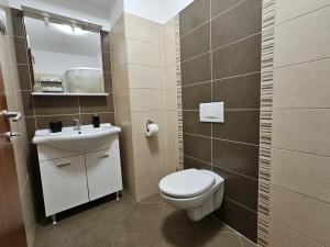 a small bathroom with a toilet and a sink at Apartments Andrea in Malinska +54 photos