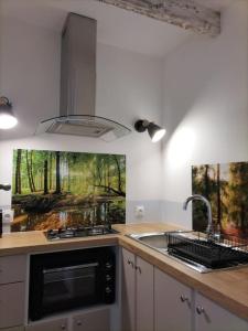 a kitchen with a sink and a stove top oven at Logement entier 3 pièces et terrasse in Mazières-en-Gâtine +6 photos