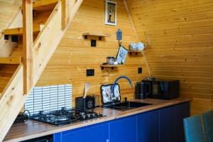 a kitchen with a stove and a sink in a cabin at Rest point cottage Kazbegi in Kazbegi