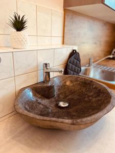 a bathroom with a stone sink in a kitchen at Apartment tenX Mittweida in Mittweida +13 photos