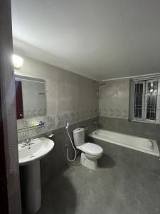 a bathroom with a sink and a toilet and a bath tub at Family Inn - Airport Hotel in Dhaka
