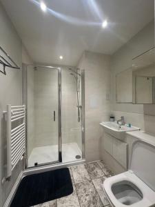 a bathroom with a shower and a toilet and a sink at Lovely flat in Kingston Town in Kingston upon Thames