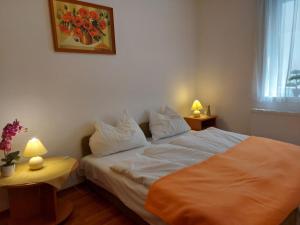 Photo de la galerie de l'établissement Bükkszék Apartmanok, à Bükkszék 4 autres photos