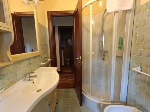 a bathroom with a shower and a sink at La Maison in Pescocostanzo