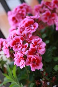 Gallery image of Superbe chambre avec terrasse dans un appartement partagé dans le centre de Paris in Paris
