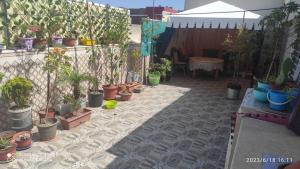 Κήπος έξω από το Le mazagan marhaba