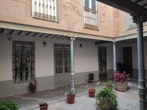 Un patio de un edificio con plantas en macetas. en Vivienda rural el gobernador, en Villanueva de los Infantes