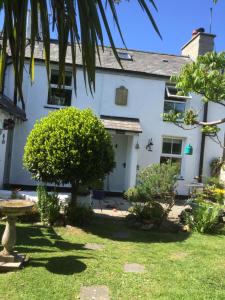 a white house with a tree in the yard at Anglesey 2 bedroom stone cottage dog friendly with EV in Amlwch