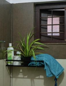Fotografie z fotogalerie ubytování Varkala Life Homestay v destinaci Varkala