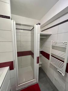 a bathroom with a walk in shower with a glass door at Le Cocon Saint-Pierre in Pontarlier +18 photos
