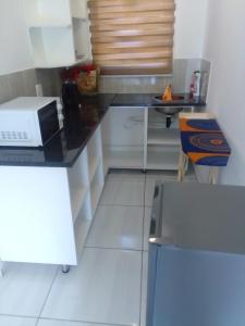 een keuken met een aanrecht met daarop een magnetron bij 17 on Driffield in East London