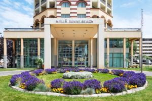 Сад в Melia Sunny Beach All Inclusive