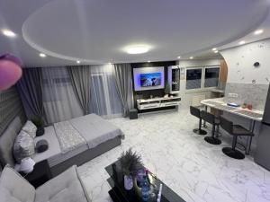 a large living room with a couch and a table at Viktor Deluxe in Gotha