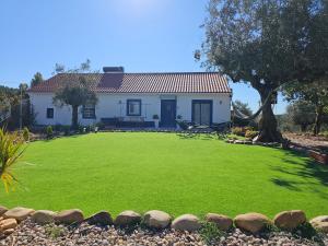 Κήπος έξω από το Cantinho da paz Peacefull Haven