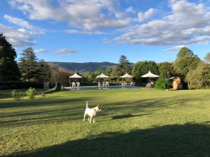 Gallery image of Cabañas Calicanto in Santa Rosa de Calamuchita