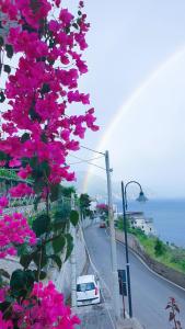 a bunch of pink flowers on the side of a road at Villa Grace Amalfi seaview Jacuzzi in Amalfi