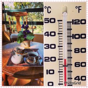 Φωτογραφία από το άλμπουμ του Vintage Cabin GB σε Constanza