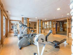 a gym with treadmills and elliptical machines at Appart. 3* 5 Flocons Or avec Piscine & Spa, aux pieds des pistes - FR-1-461-15 in Saint-Martin-de-Belleville