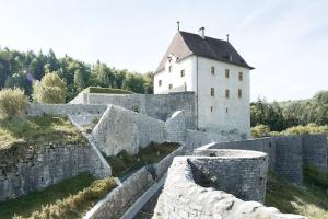 a castle with a stone wall and a building at Comfortable 1 bd apt in Peseux +14 photos