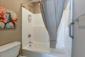 a bathroom with a shower curtain and a toilet at Daydreamer - Beautiful Views & Location in Branson +18 photos