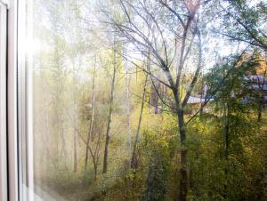 モスクワにあるApartlux Vernadskogo Superiorの木々の森を望む窓