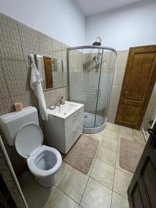 Un baño con inodoro, ducha y lavabo. en La Canton Cheia, en Cheia 28 fotos más