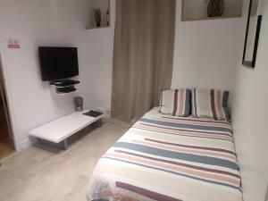 a bedroom with a bed with a television and a couch at La Motte Bridard - 2 chambres - 1 canapé-lit - Parking - Jardin in Appoigny