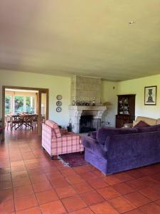 a living room with two couches and a fireplace at Quinta da Ponte in Resende