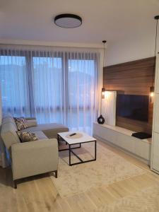 Μια τηλεόραση ή/και κέντρο ψυχαγωγίας στο Banja Apartman
