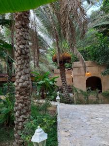 Giardino di Al-Ghanima Rest House