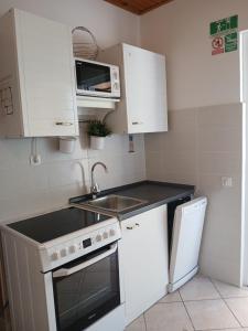 Kuchyňa alebo kuchynka v ubytovaní Apartment Dragas