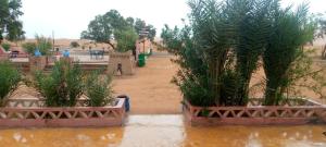 Zahrada ubytování Les Pyramides Hotel Merzouga