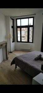 Foto dalla galleria di Bruxelles midi flat a Bruxelles