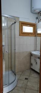 a bathroom with a shower and a sink at Békény Kulcsosház in Gheorgheni