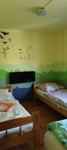 two beds in a room with birds on the wall at Békény Kulcsosház in Gheorgheni