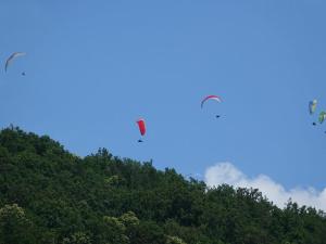 Majutusasutuse Holiday apartment Uhu in the house on linden tree külastajad