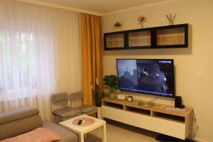 TV a/nebo společenská místnost v ubytování Apartament Euro Bytom
