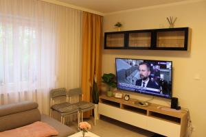TV a/nebo společenská místnost v ubytování Apartament Euro Bytom