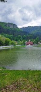 a large lake with a building in the middle of it at Békény Kulcsosház in Gheorgheni +17 photos