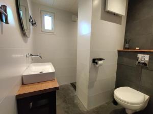 a bathroom with a white sink and a toilet at De Heide in Wijnjewoude +25 photos