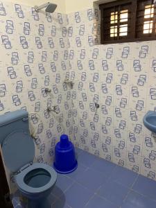 a bathroom with a blue toilet and a sink at Archrose Villa in Trivandrum