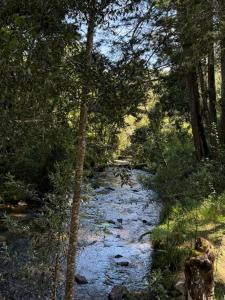 Paesaggio naturale nelle vicinanze della casa vacanze
