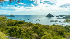 a view of a bay with boats in the water at Elang Hillside Bamboo Villas in Labuan Bajo