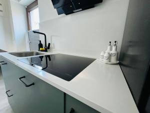 a kitchen with a sink and a refrigerator at Studio Karin in Trviž +3 photos