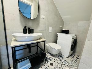 a bathroom with a sink and a toilet and a mirror at Studio Karin in Trviž