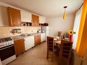 a kitchen with a sink and a table with chairs at Veselá Chaloupka in Kostelec